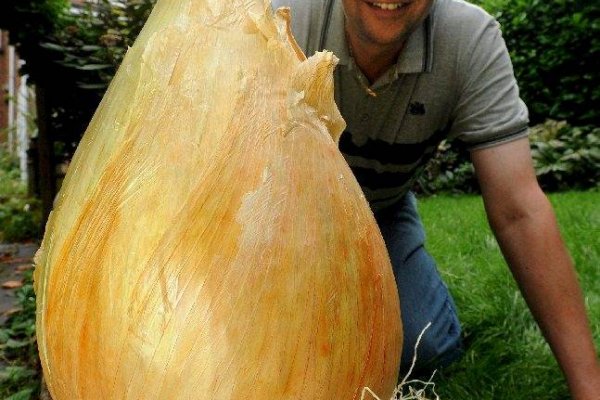 Кракен даркнет актуальная ссылка